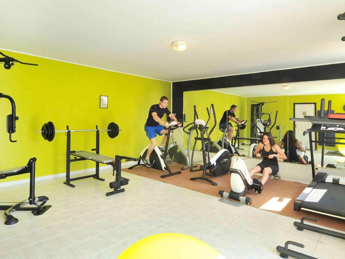 Ibis Sud