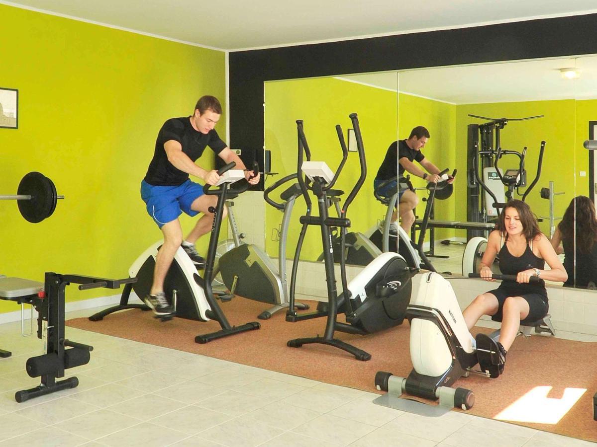 Ibis Sud Orange (Vaucluse)